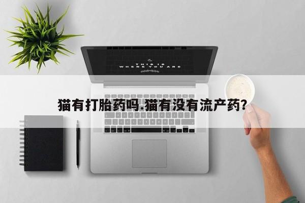 堕胎药购买方式猫有打胎药吗.猫有没有流产药？