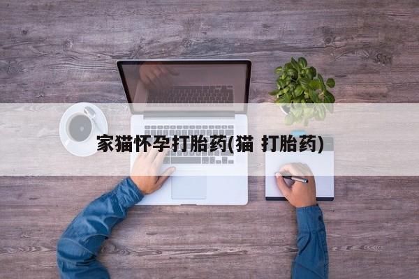 堕胎药购买方式家猫怀孕打胎药(猫 打胎药)