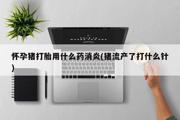 堕胎药购买方式怀孕猪打胎用什么药消炎(猪流产了打什么针)